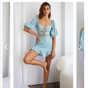 Sage Selfie Leslie Dress